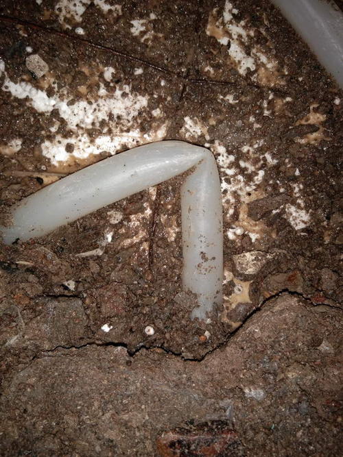 绥阳堵点精准查找